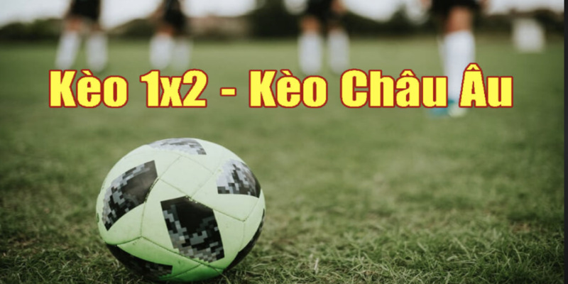 Bí Kíp Đọc Kèo Chuẩn Xác - Nắm Bắt Cơ Hội Thắng Lớn 3 Bí kíp đọc kèo châu Âu