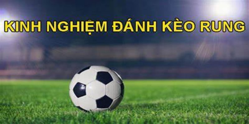 Kinh Nghiệm Chơi Kèo Rung Bóng Đá Ăn Đậm Từ Cao Thủ 3 Chọn thời điểm thích hợp để đặt kèo rung