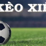 Cược Xiên