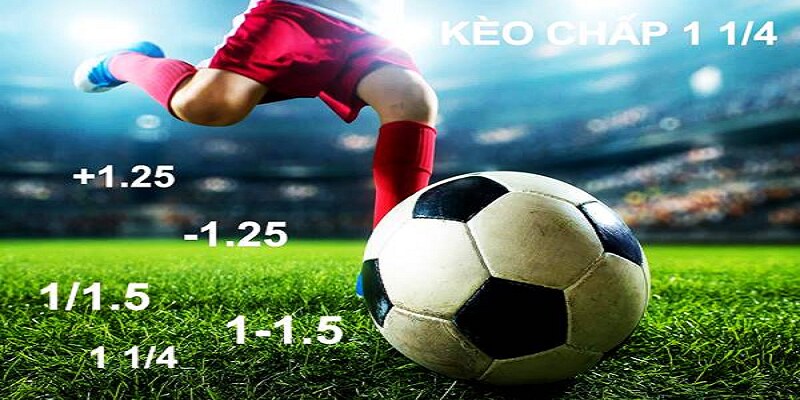 Hướng Dẫn Cách Đánh Kèo Chấp 1.25 Hiệu Quả Từ Cao Thủ 3 Trước khi tham gia trận đấu thu thập thông tin trận đấu